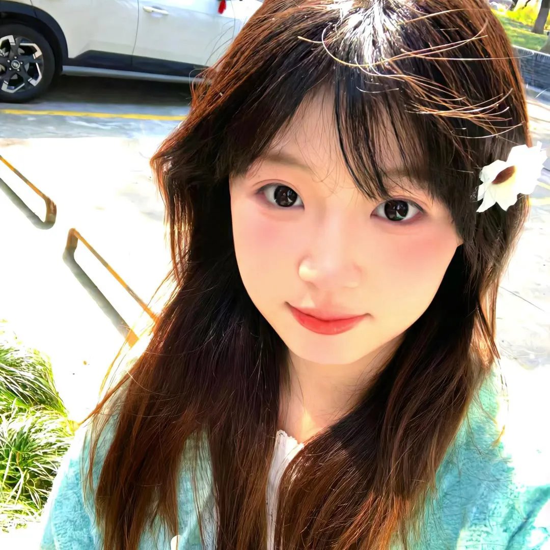 菊花香